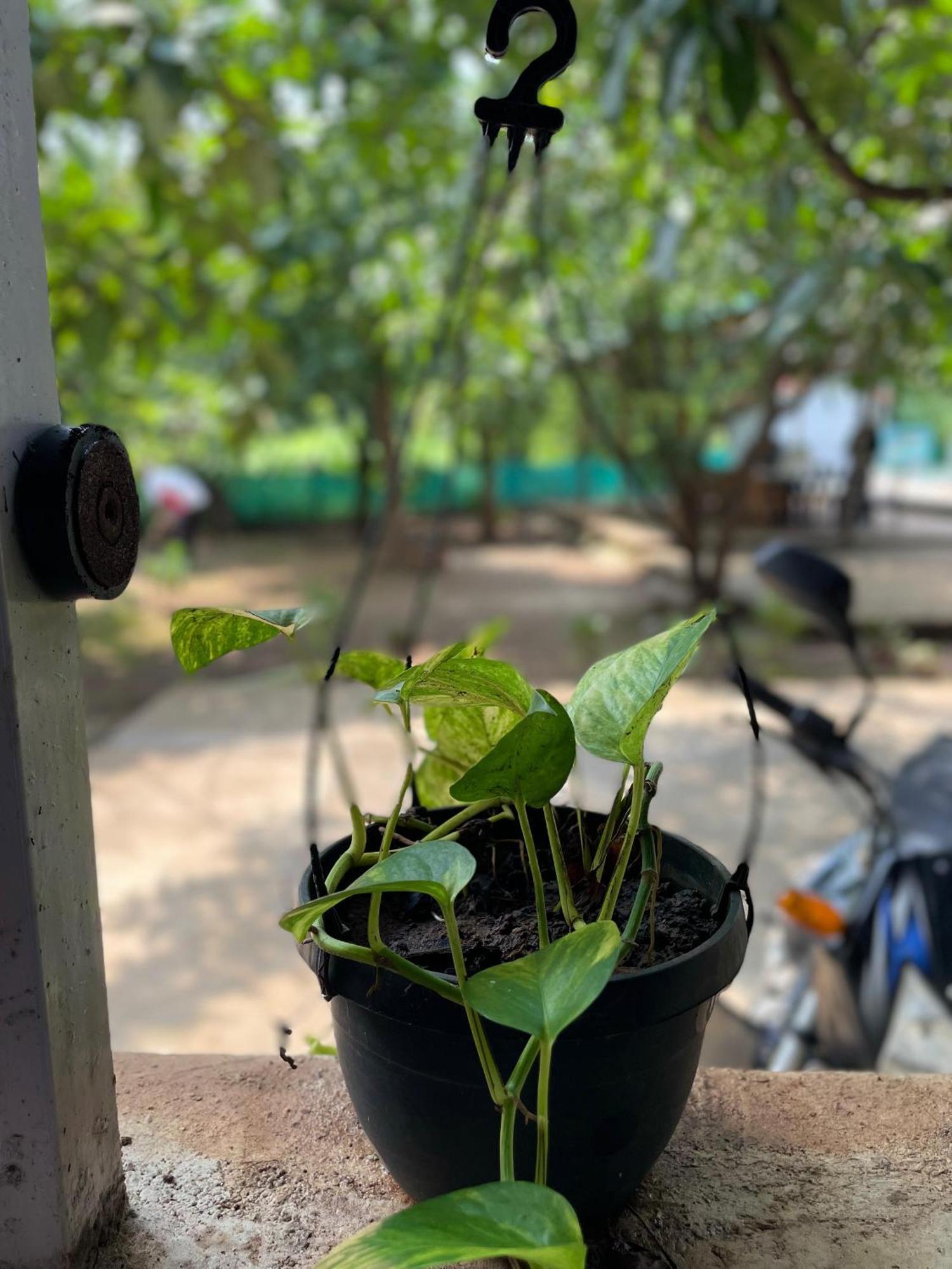 Riverland Farm And Resort Karjat Eksteriør bilde